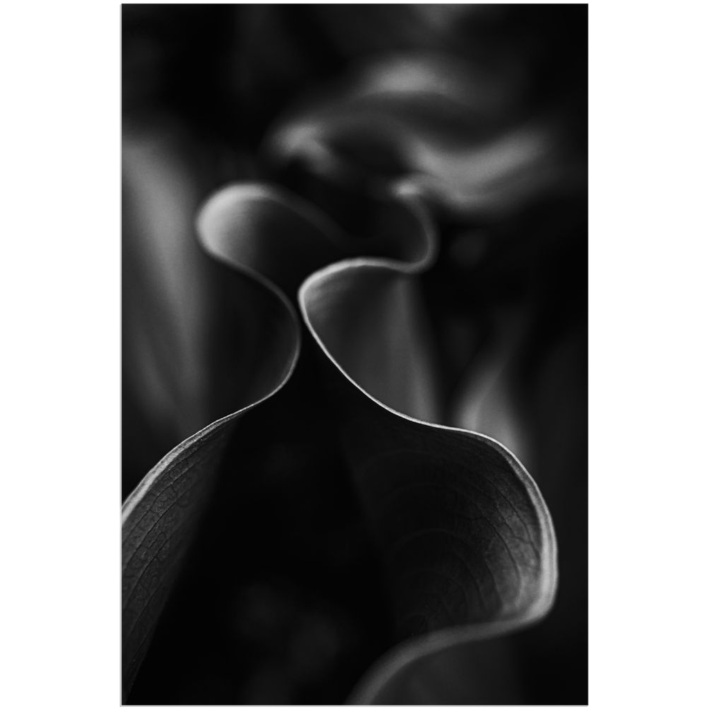 "Femme Chapeau" (Woman With Hat)