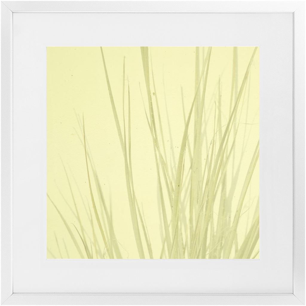 Imperfect Elegance No. 7
