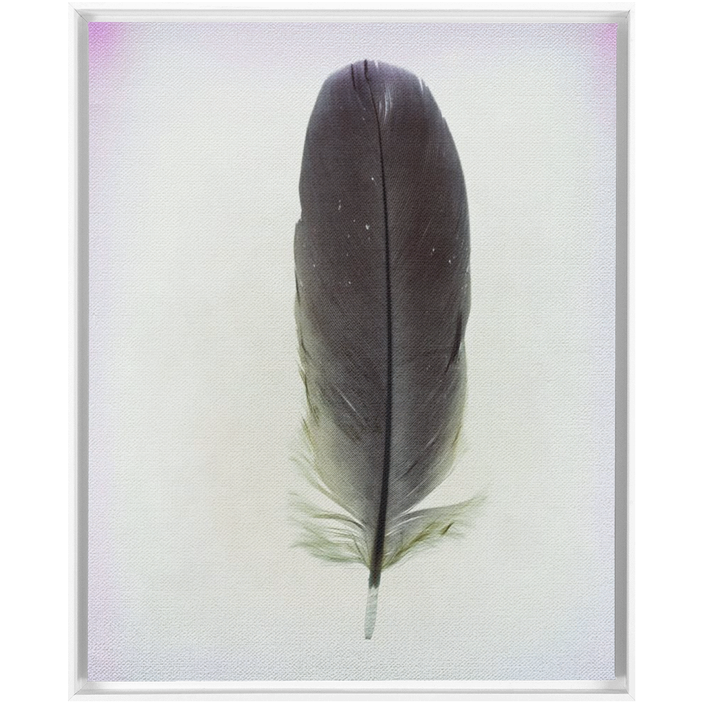 Feather Study