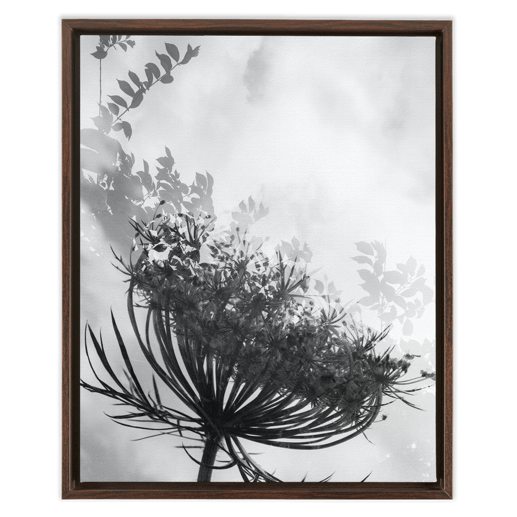 Dancing with the Clouds