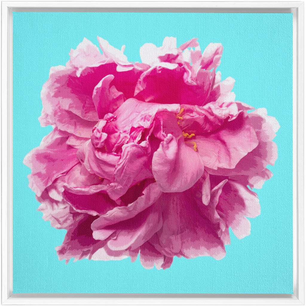 Pink Peony on Cyan