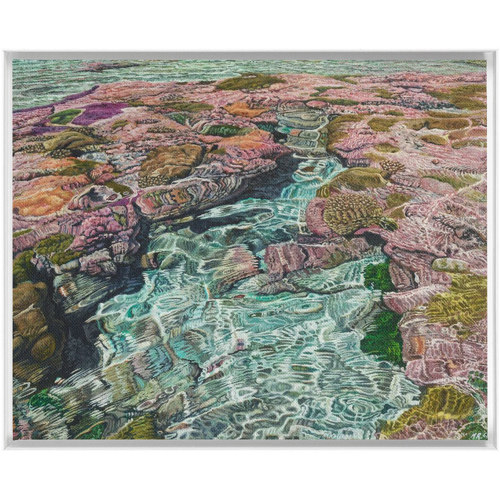Coral Apocalypse