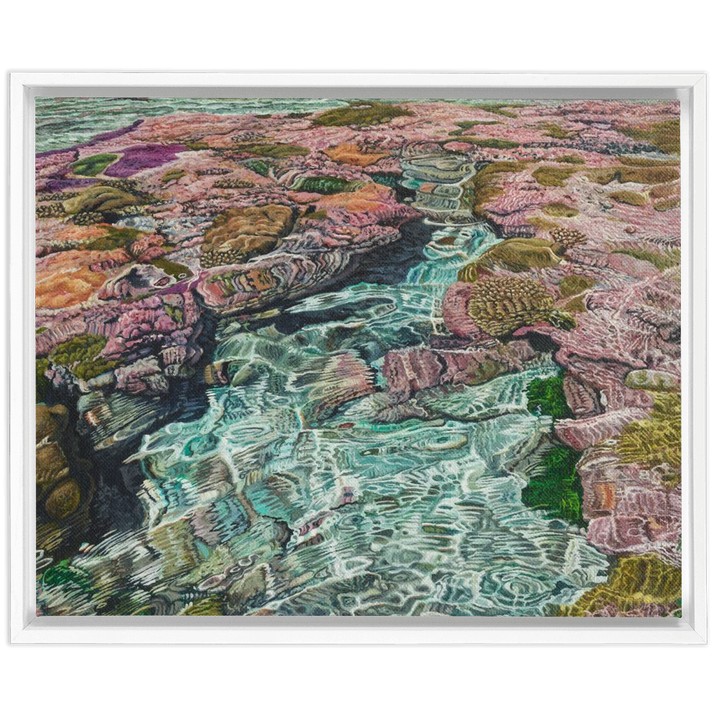 Coral Apocalypse