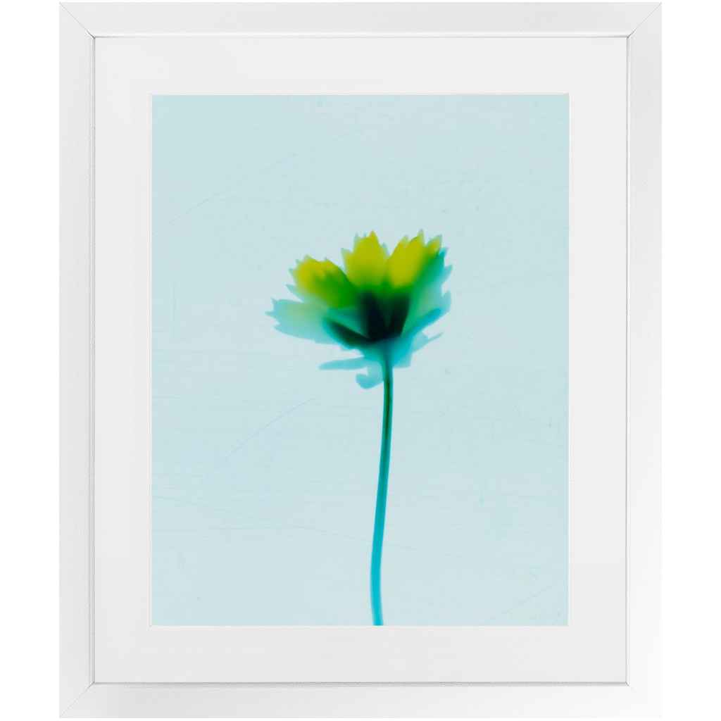 Polaroid Colour Study