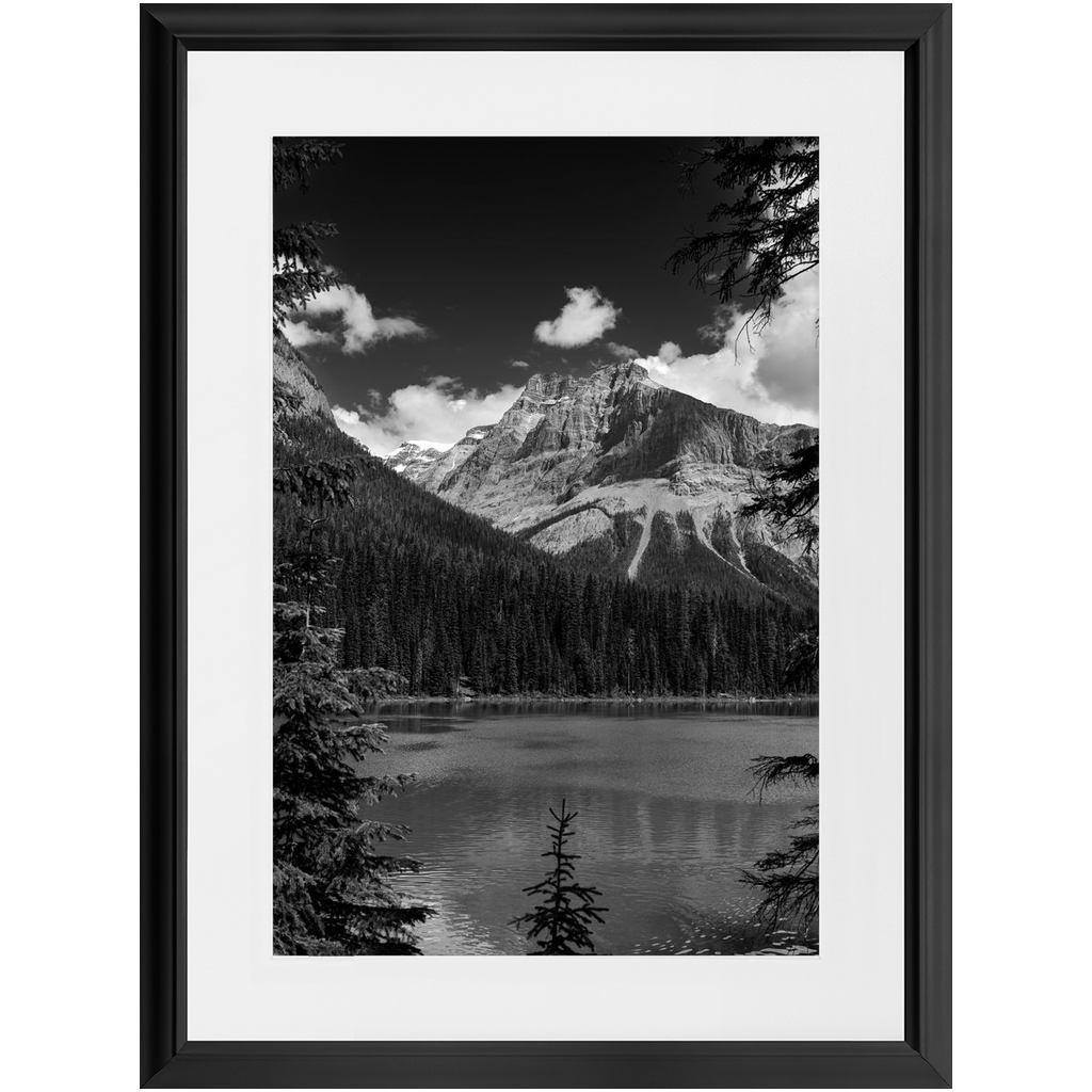 Lake, Trees & Mountains