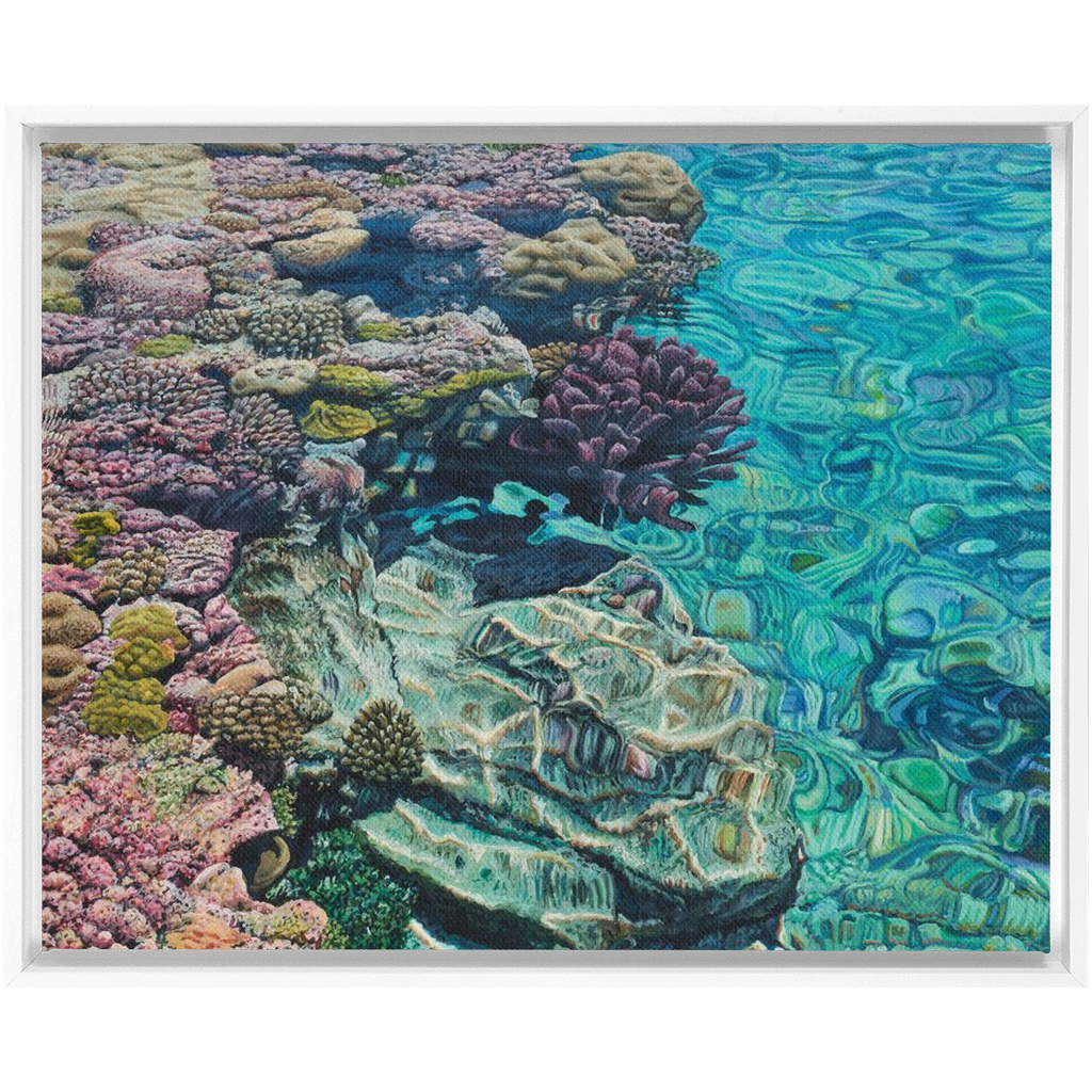 Coral Apocalypse