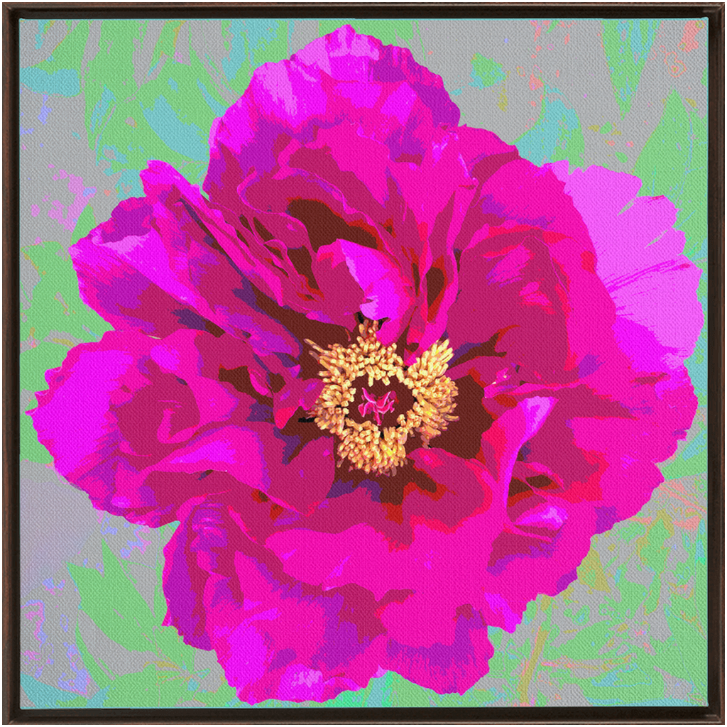 Pink Peony