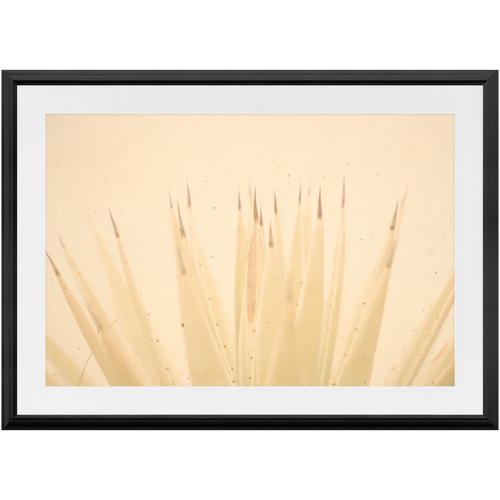 Imperfect Elegance No.4