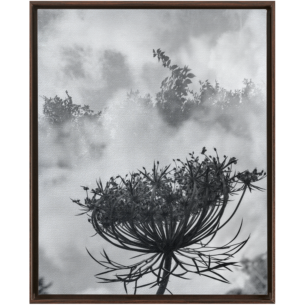 Fog to the Clouds