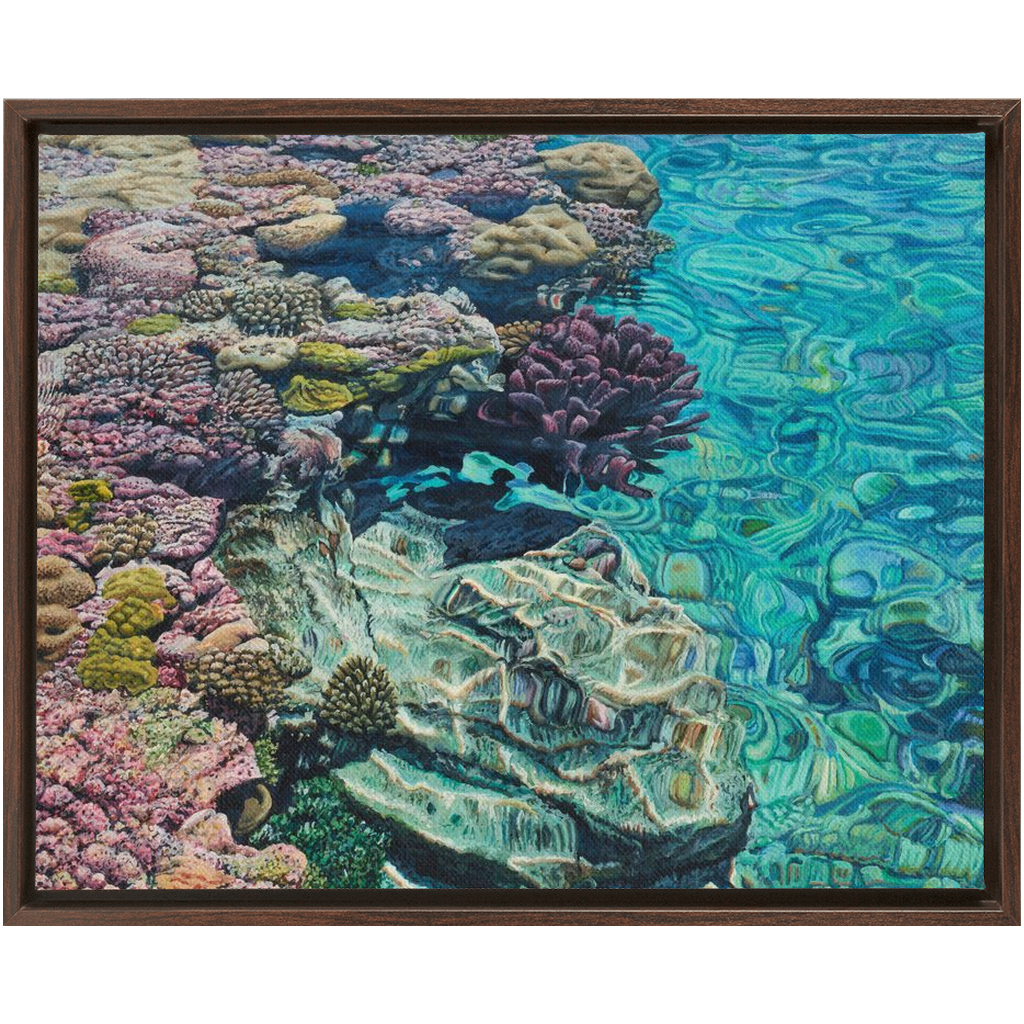 Coral Apocalypse