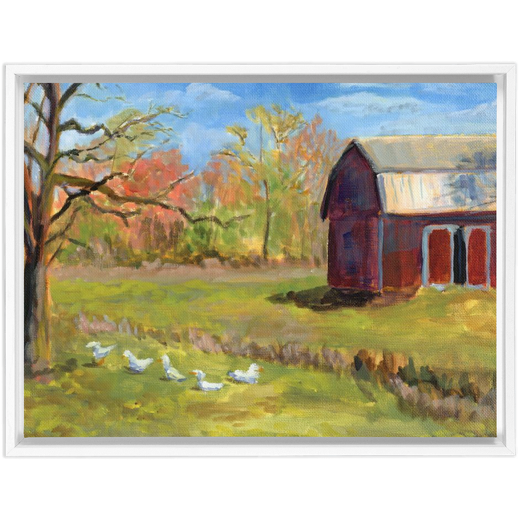 Ducks On The Farm