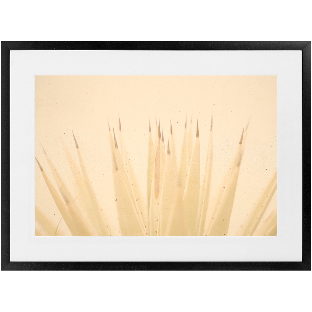Imperfect Elegance No.4