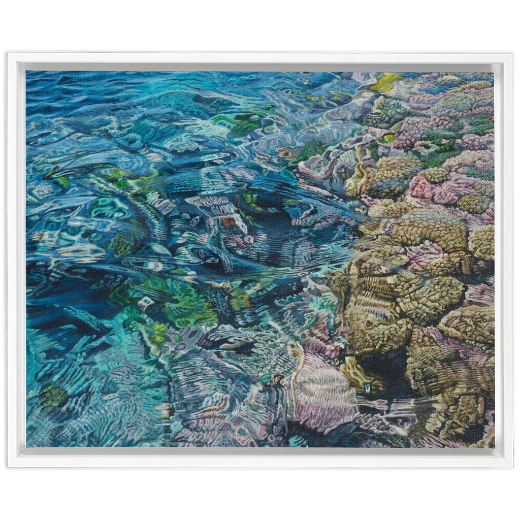 Coral Apocalypse