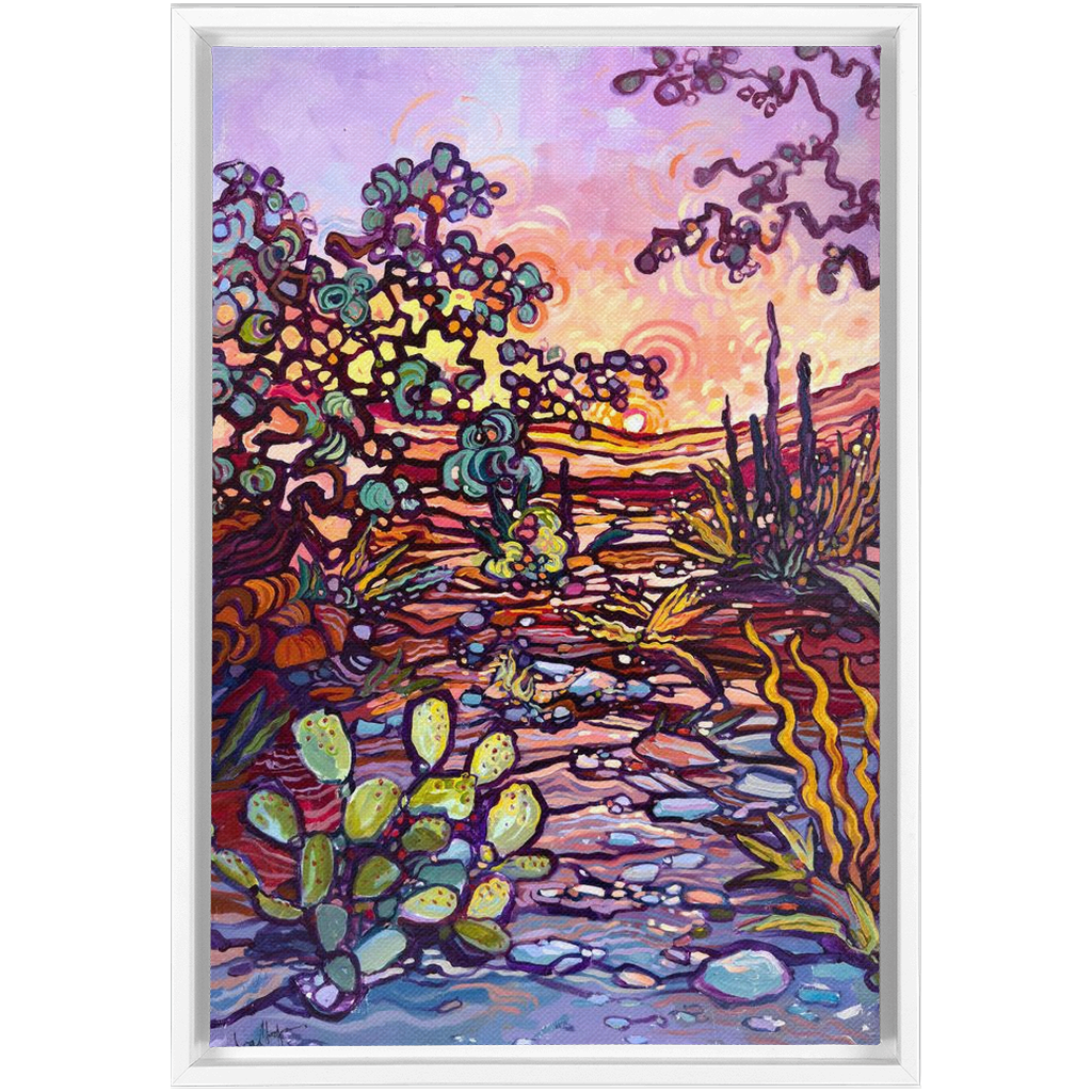 Sonoran Sunset