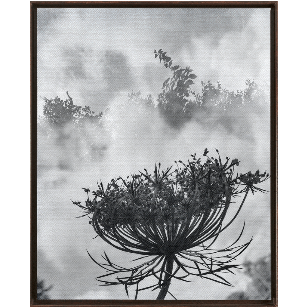 Fog to the Clouds