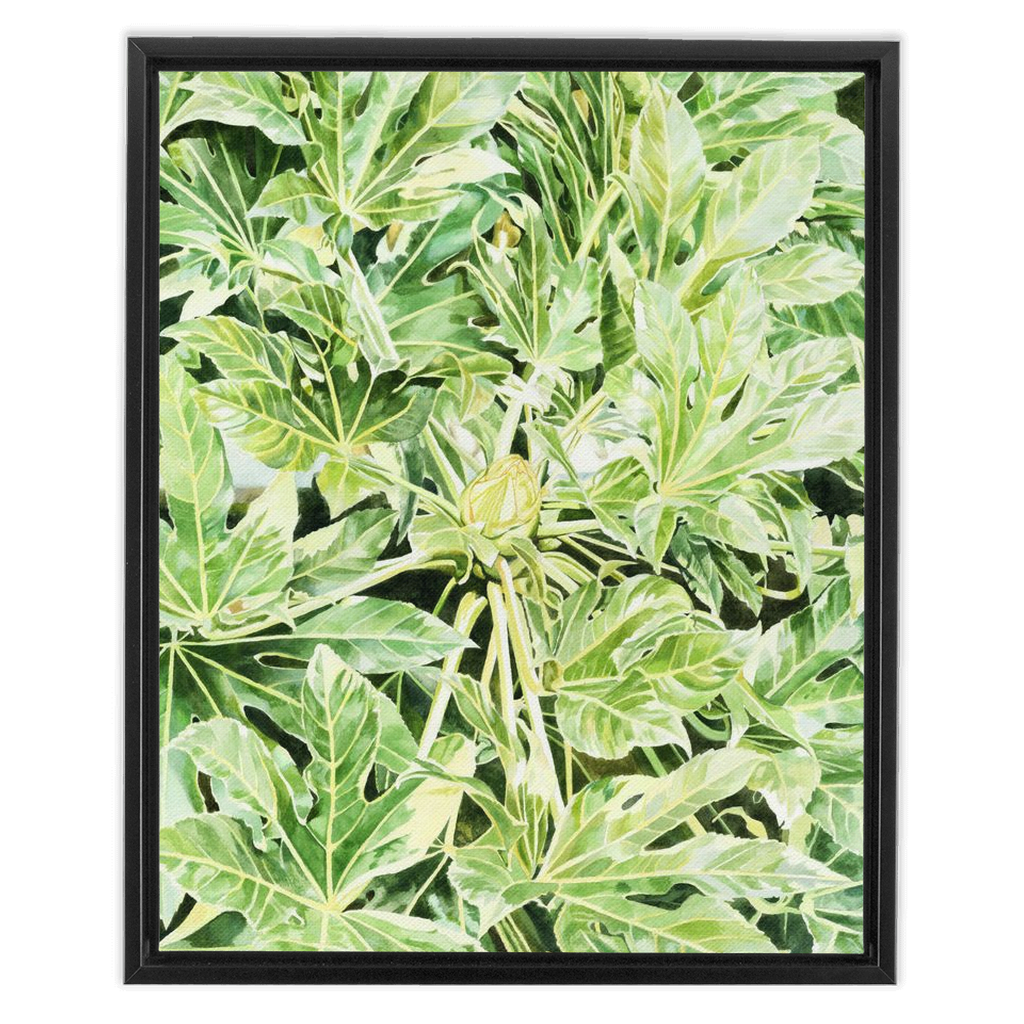 "Japonica"(Variegata)