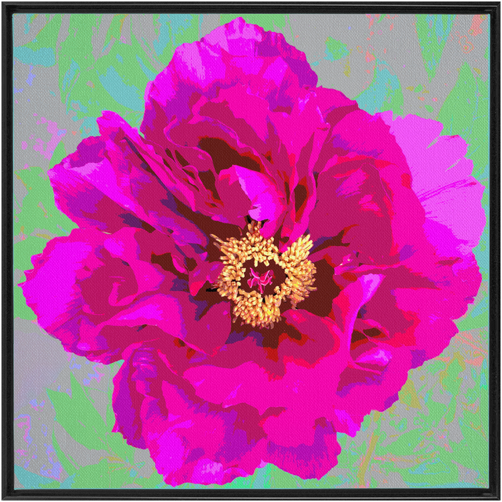 Pink Peony