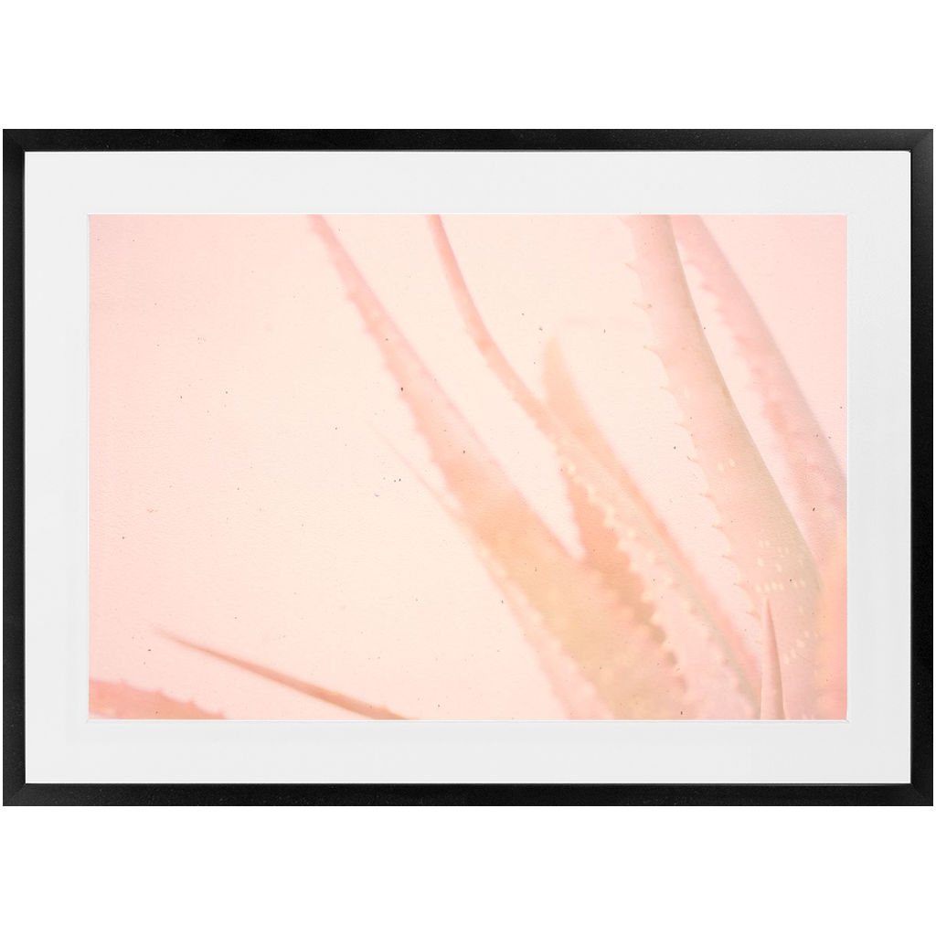 Elegant Imperfections No.1