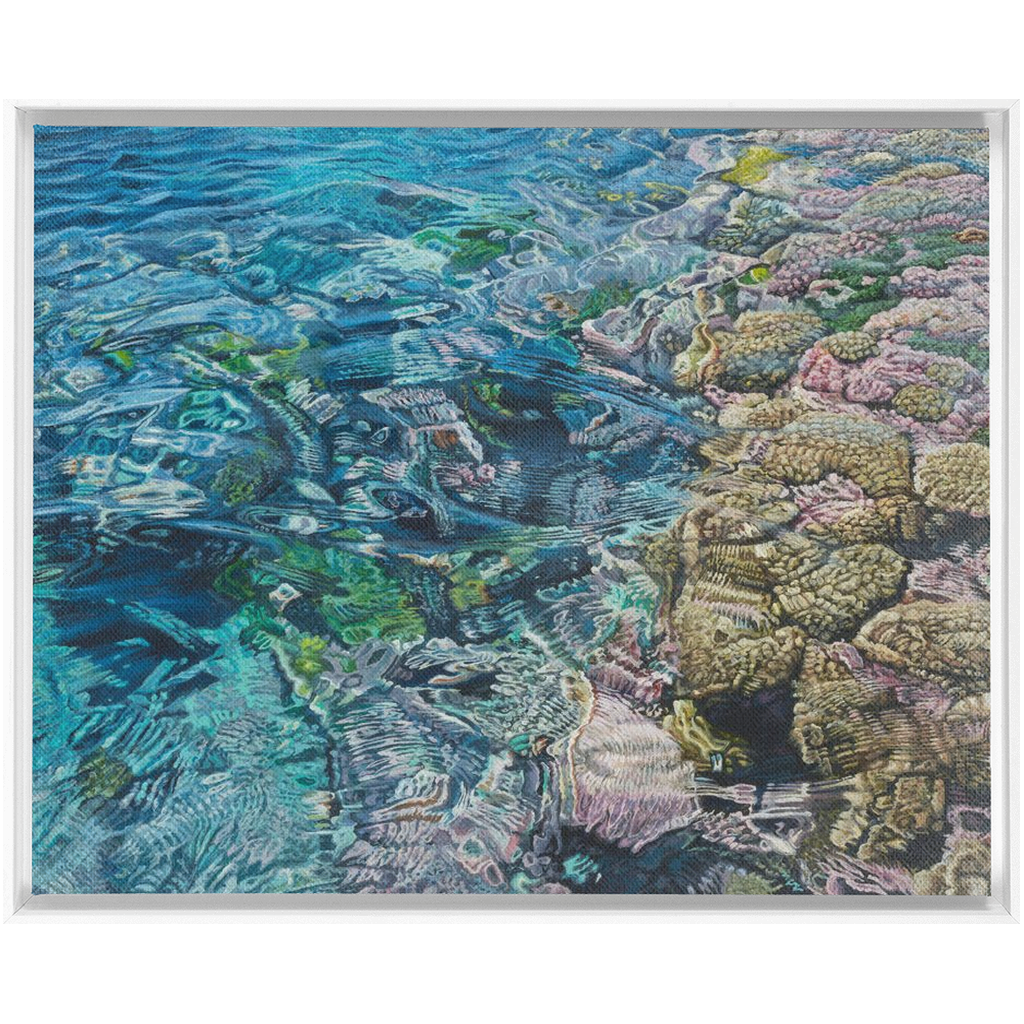 Coral Apocalypse