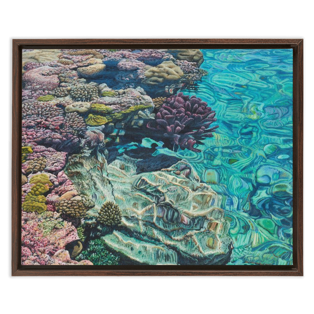 Coral Apocalypse