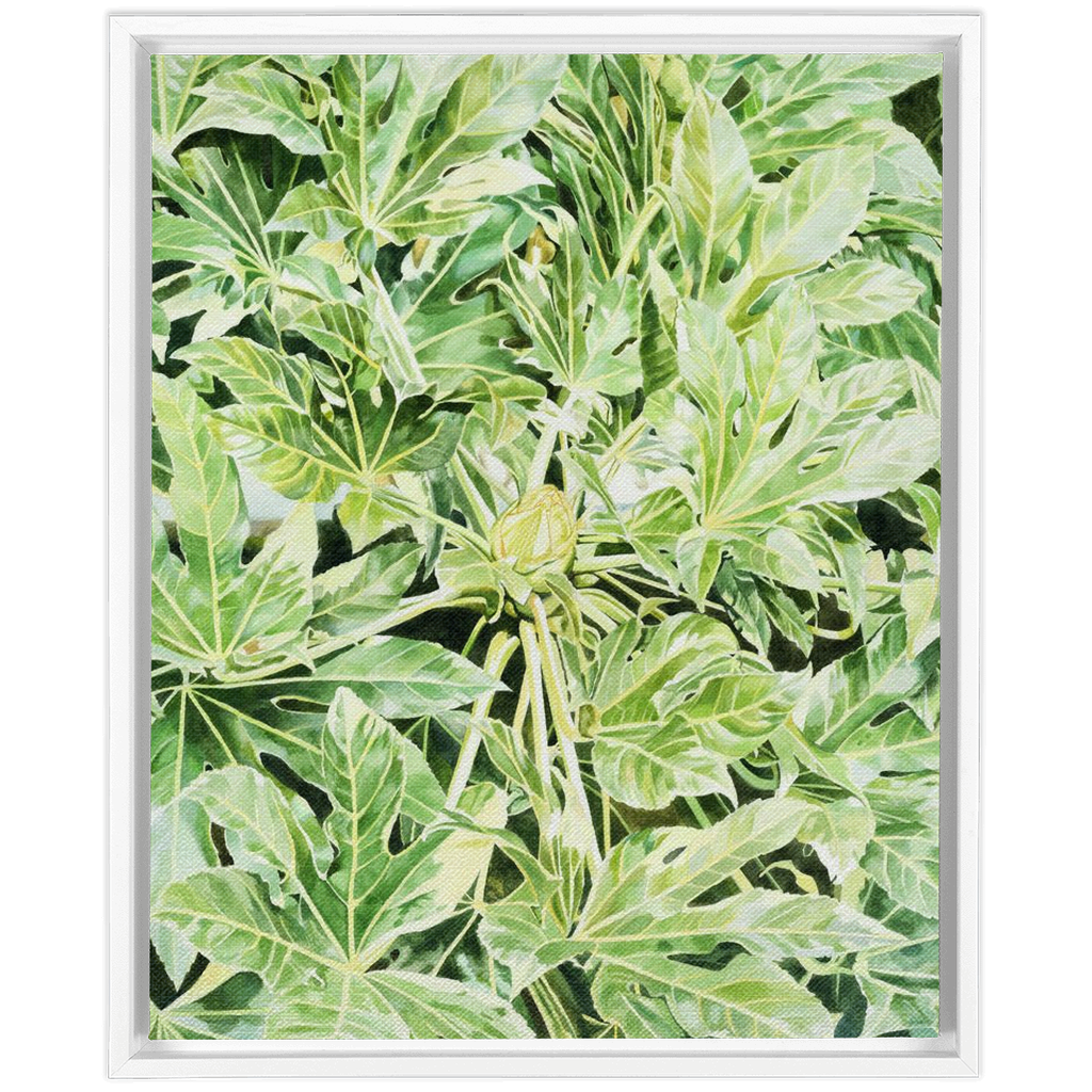 "Japonica"(Variegata)