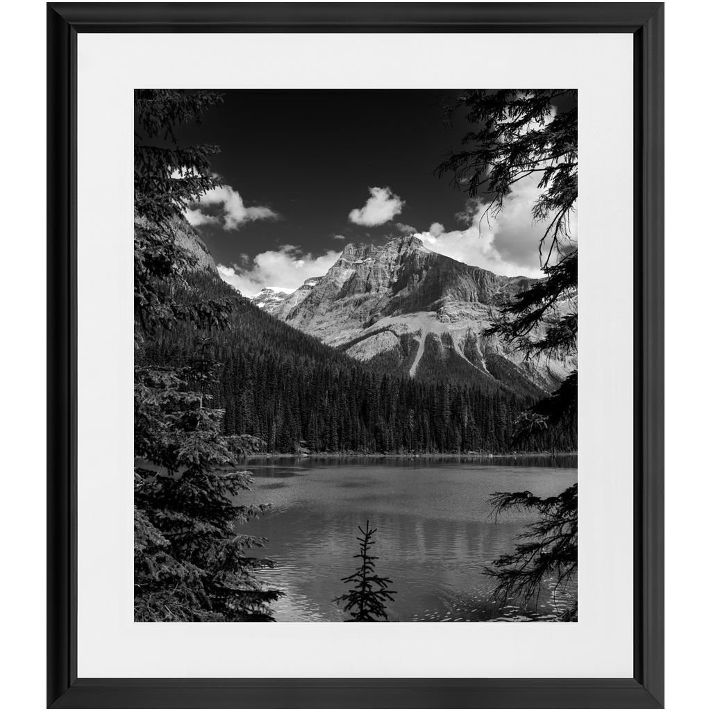 Lake, Trees & Mountains