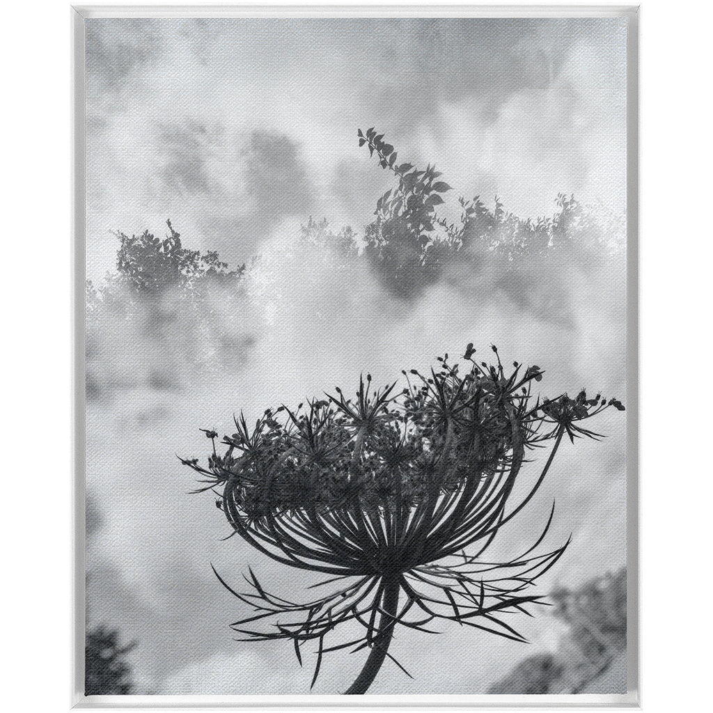 Fog to the Clouds