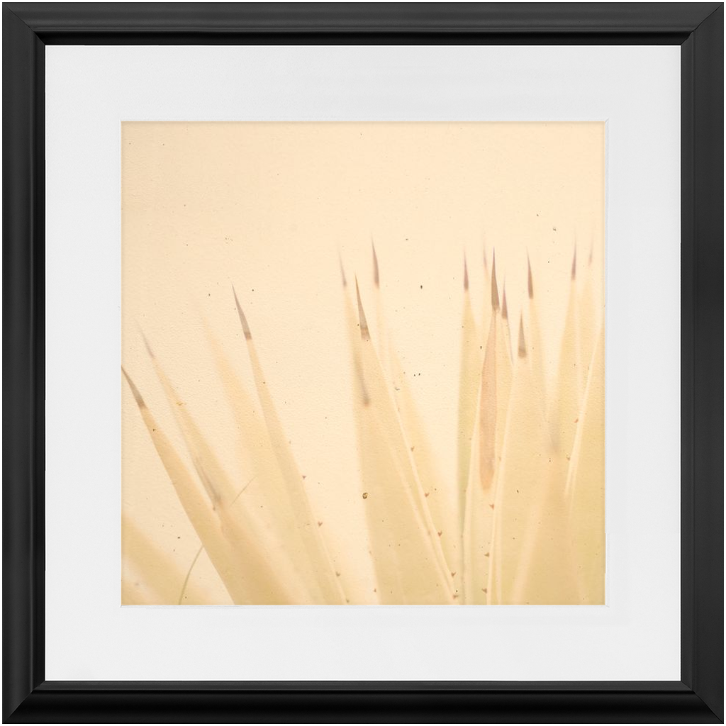 Imperfect Elegance No.4