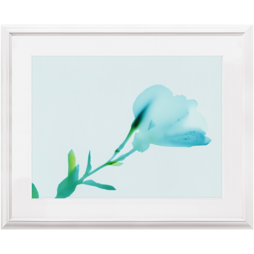 Polaroid Colour Study