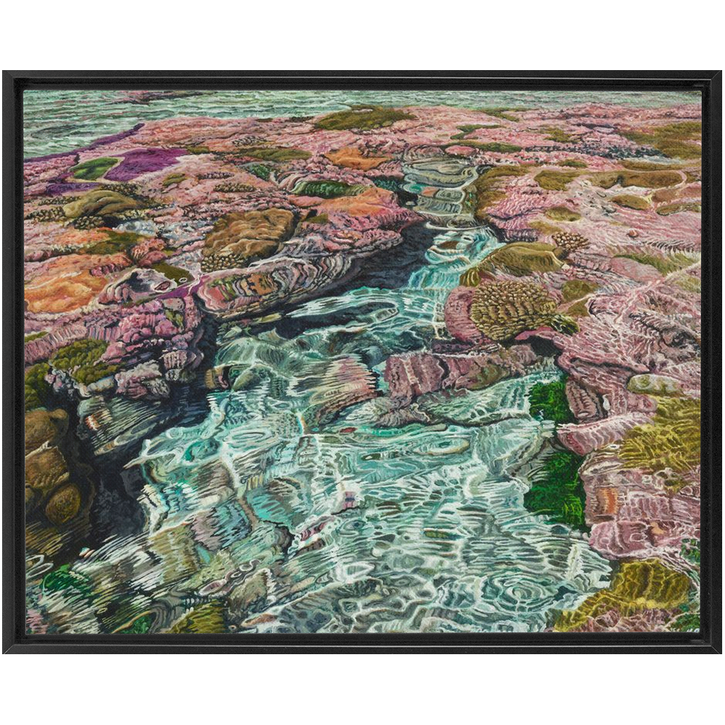 Coral Apocalypse