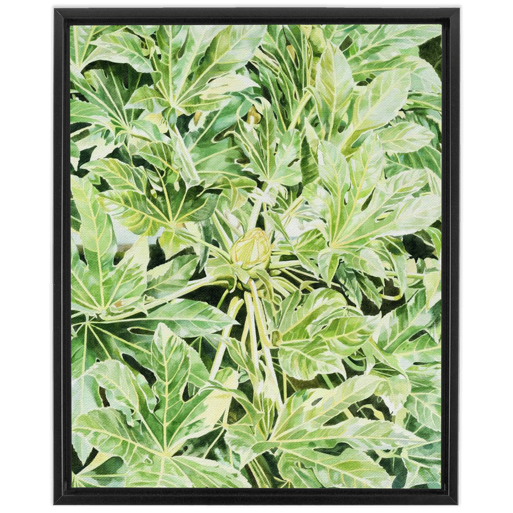 "Japonica"(Variegata)