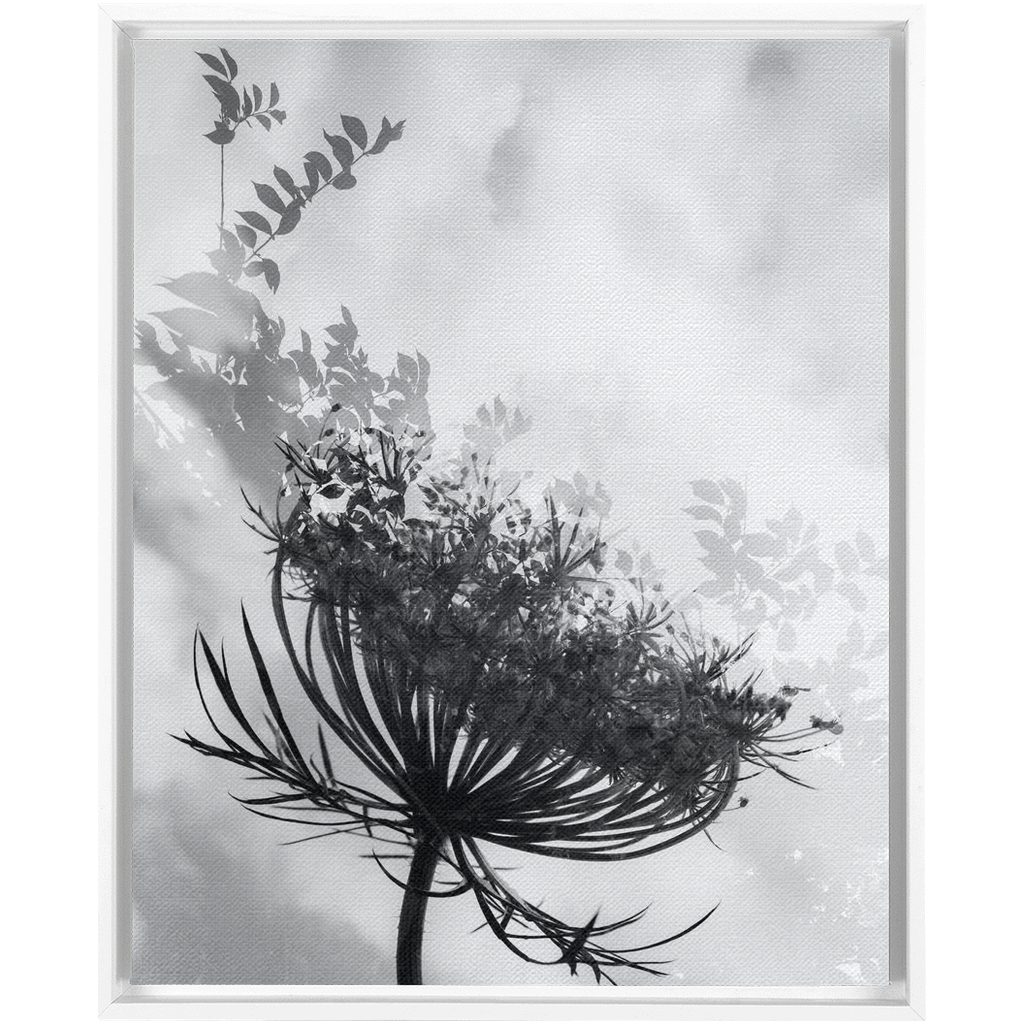 Dancing with the Clouds