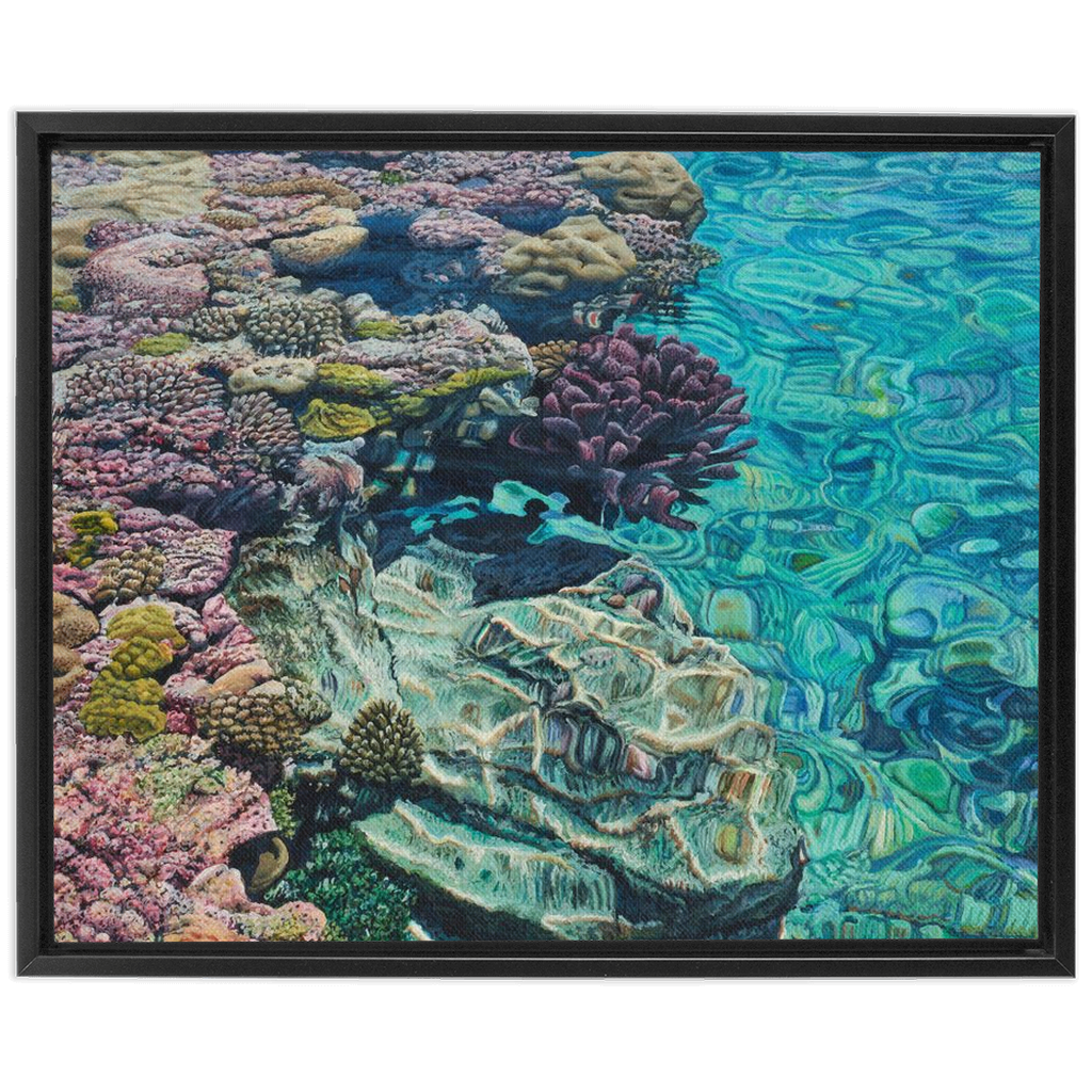 Coral Apocalypse