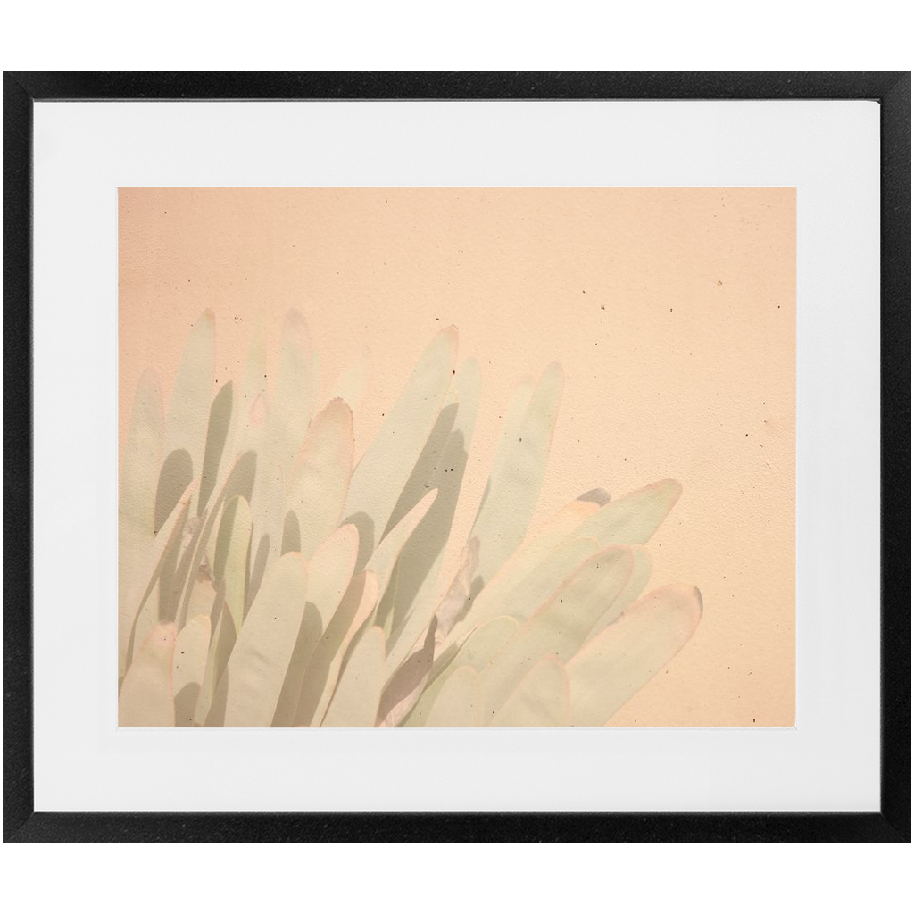 Elegant Imperfections No.3