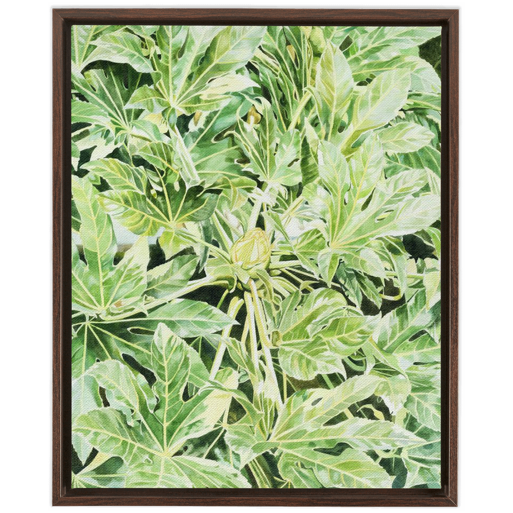 "Japonica"(Variegata)