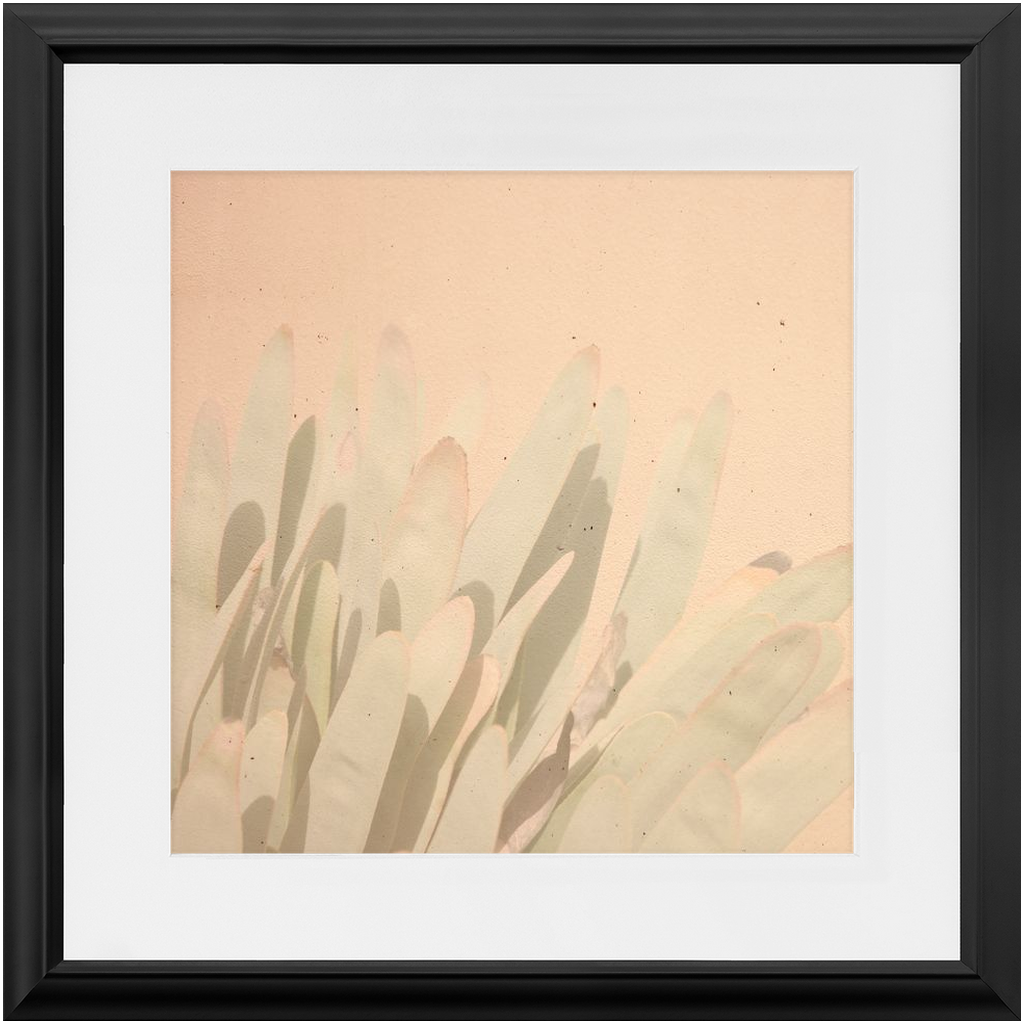 Elegant Imperfections No.3