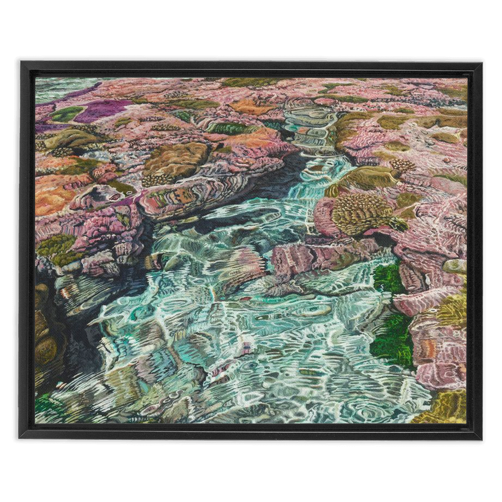 Coral Apocalypse
