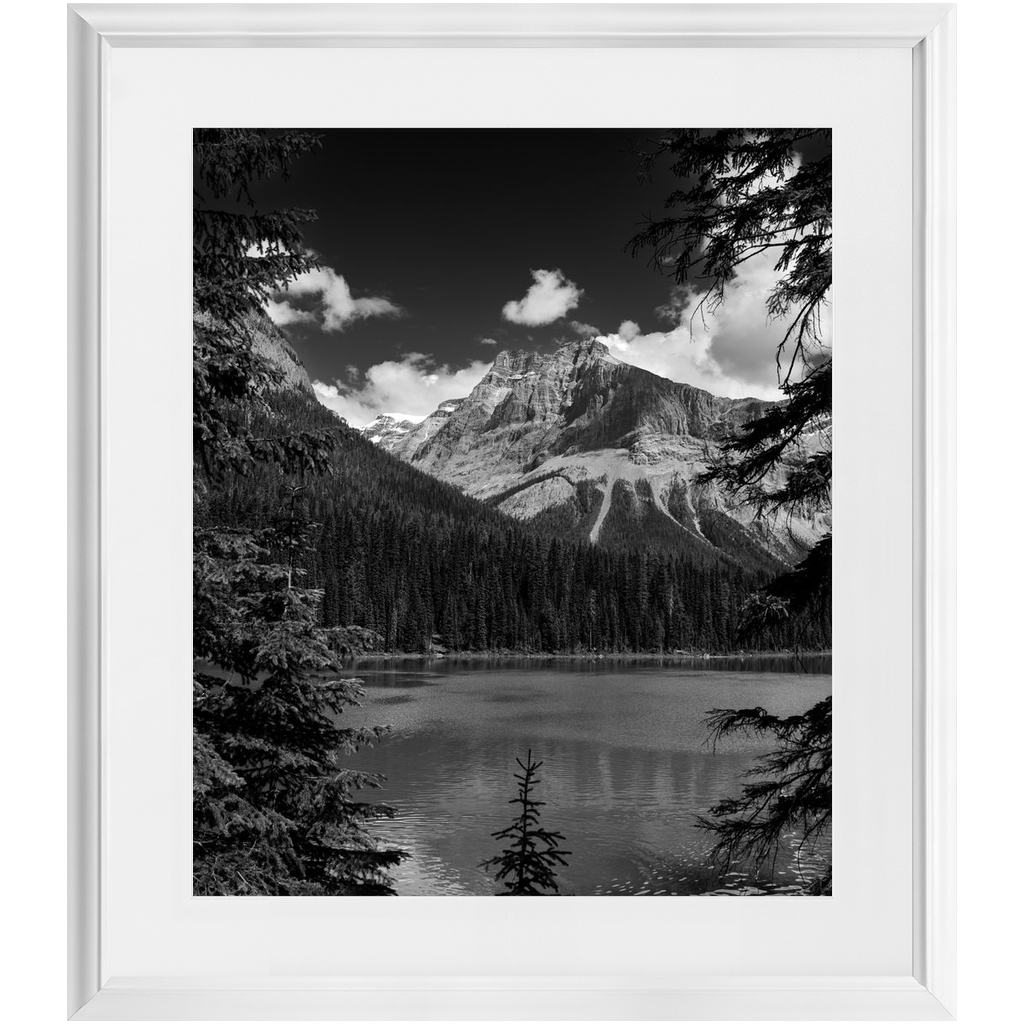 Lake, Trees & Mountains