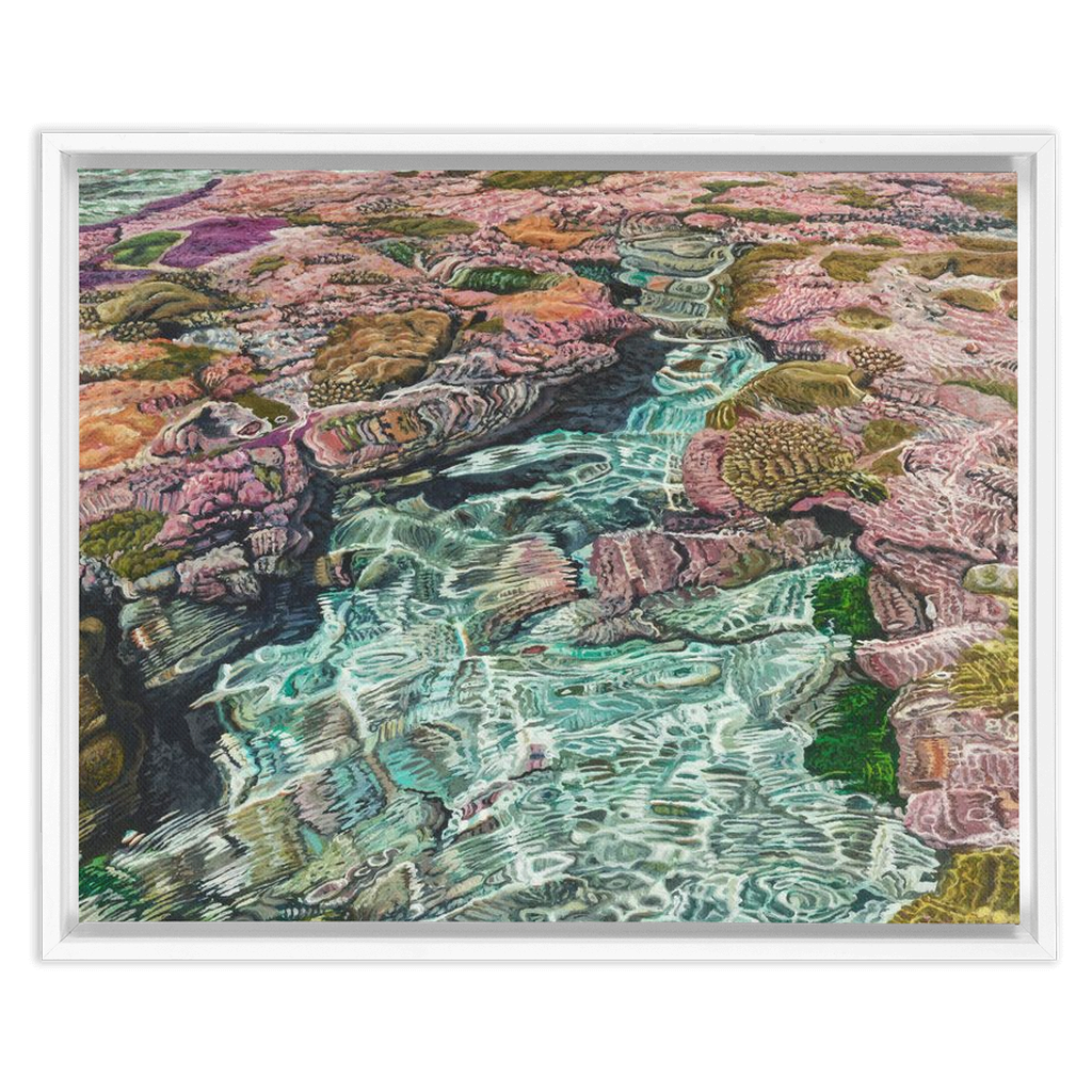 Coral Apocalypse