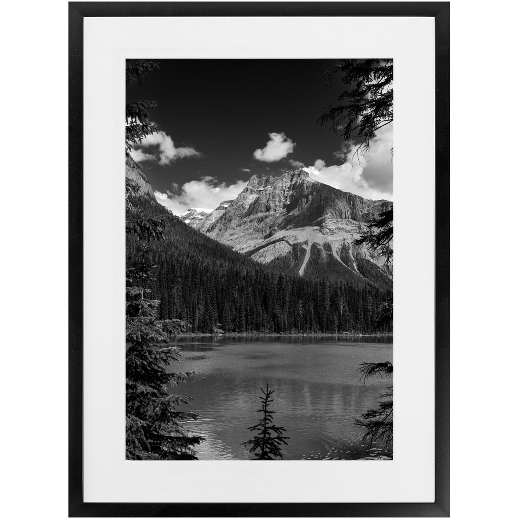 Lake, Trees & Mountains