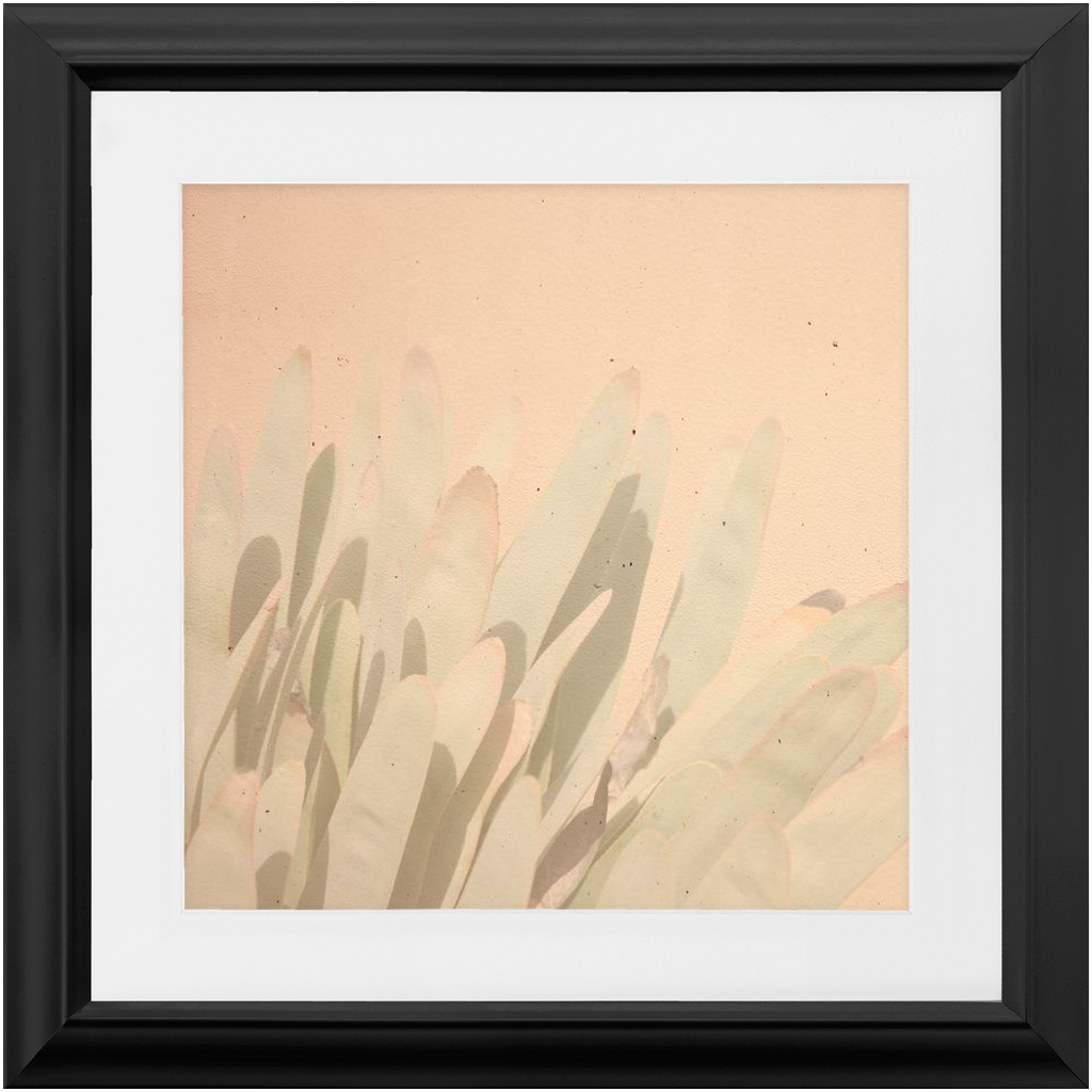 Elegant Imperfections No.3