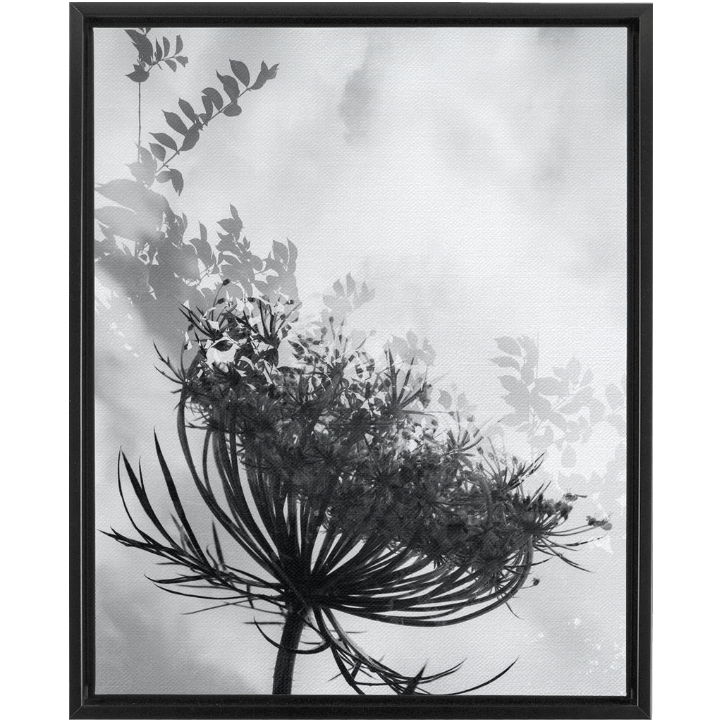 Dancing with the Clouds