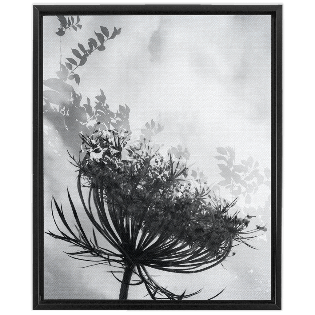 Dancing with the Clouds