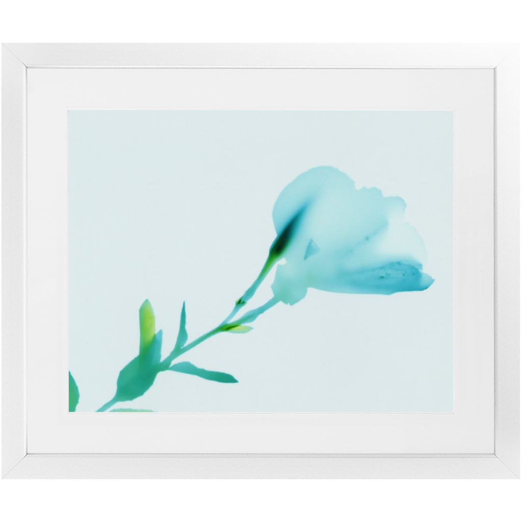 Polaroid Colour Study