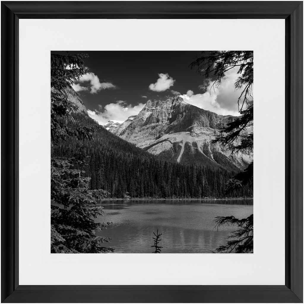 Lake, Trees & Mountains