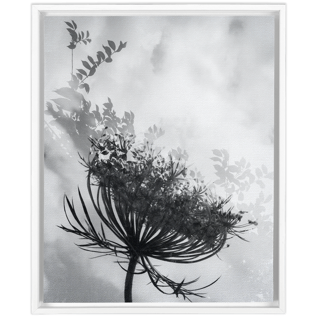 Dancing with the Clouds