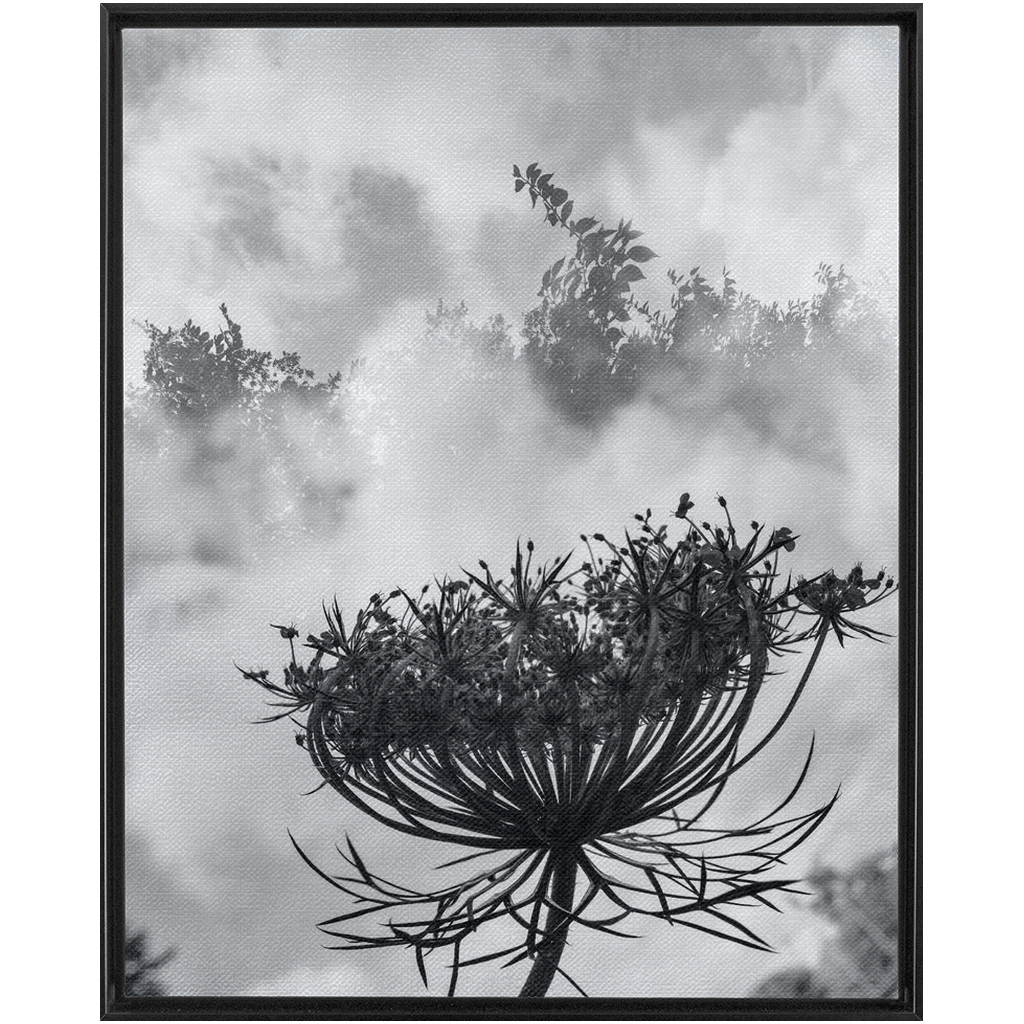 Fog to the Clouds