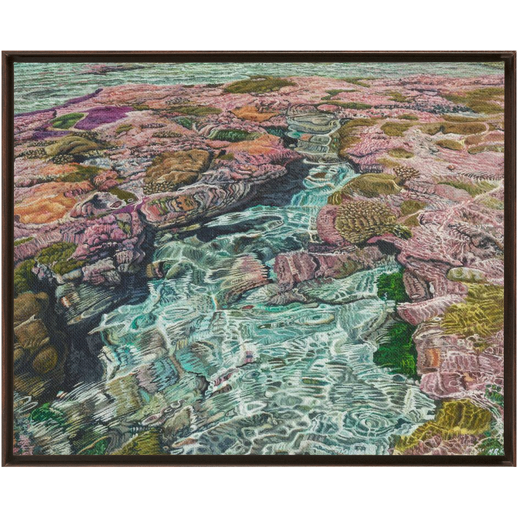 Coral Apocalypse