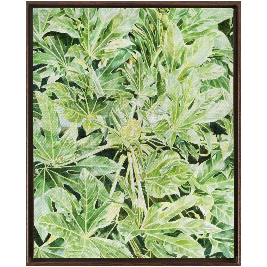 "Japonica"(Variegata)