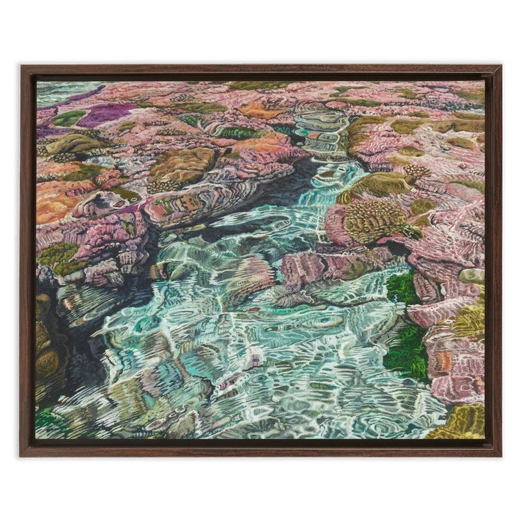 Coral Apocalypse